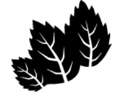 Bahco P54H-SL-25 Heggenschaar | Lange Grepen | Professioneel | 650 Mm | 25 Cm [Heggenschaar] -METABO Winkel Bahco P54H SL 25 Heggenschaar ext 2