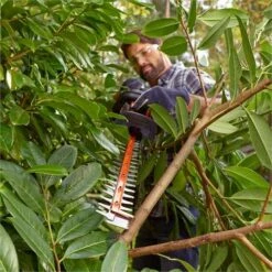 Black & Decker BEHTS301 Heggenschaar | 500 Watt | 50 Cm | 22 Mm [BEHTS 301] -METABO Winkel Black Decker BEHTS301 BEHTS 301 ext 4