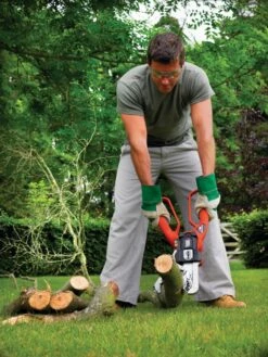 Black & Decker GK1000 ALLIGATOR Snoeischaar Met De Kracht Van Kettingzaag | Alligator | 550 W [GK 1000] -METABO Winkel Black Decker GK1000 ALLIGATOR GK 1000 ext 3