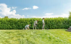 Bosch Tuingereedschap UniversalGrassCut 18V-26 Accu Trimmer | IntelliFeed 26 Cm | 18V 2,5 Ah Li-Ion [0.600.8C1.E03] -METABO Winkel Bosch Tuin UniversalGrassCut 18 260 0.600.8C1.D00 ext 3 1